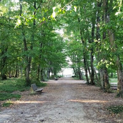 Exploitants forestiers ...