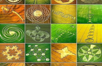 Exposition sur les Crop Circles - Galerie ArteBello Mai 2012 