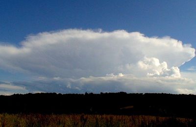 Quina periclada ! Quel orage ! ...