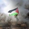 Le drapeau palestinien: une "fixette" compulsive pour les malades sionistes