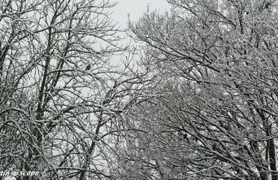 Qu'appelle-t'on neige industrielle ?