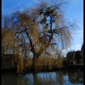 Les Marais de Bourges