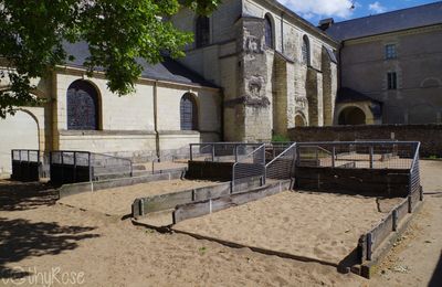 Saint-Florent le Vieil 3
