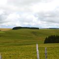 Terre d'Aubrac ...