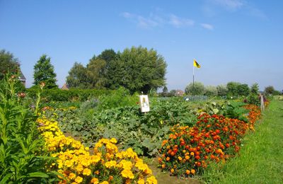 Vente de légumes