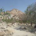 EIN GEDI