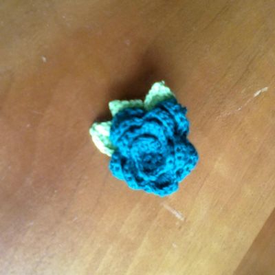 Pinces à cheveux - Hair clips