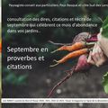 👨‍🌾 Septembre en proverbes et citations au jardin. Paysagiste Pays Basque Paysagiste Landes.