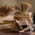 Mes lectures de novembre 2024