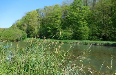 Etang magique, rivière féérique, eaux merveilleuses...