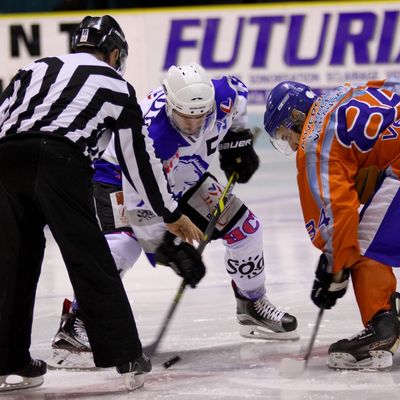 SANGLIERS ARVERNES 2 - BOUQUETINS DE VAL VANOISE 2