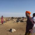 c5- Jaisalmer