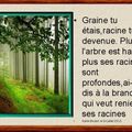 Plus l'arbre est haut , plus ses racines sont profondes.