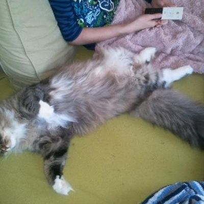 Idefix des Monts Bourbons