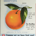 Collection ... Affiche scolaire L'ORANGE / LE VERRE