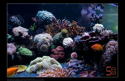 Nouvelles du bac de mai