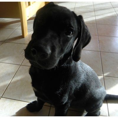 Un bonhomme de 3 mois