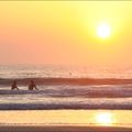 Surfing at the sunset ... Hossegor