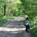 Promenons nous dans les bois....