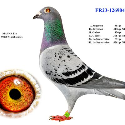 Une femelle prometteuse