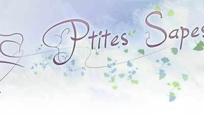 variations autour d'un patron