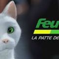 Feu Vert fête son anniversaire et fait une grande promotion