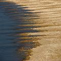 Langues de sable