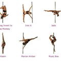 Figures de pole (pole moves) 