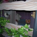 Lit cabane sur pilotis dans chambre d'enfant