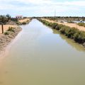 Un bel été : le delta de l'Ebre