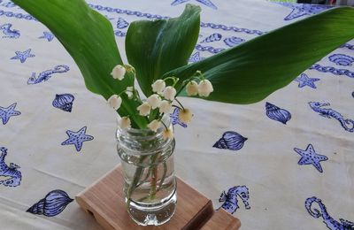 Le muguet 2020 du jardin 