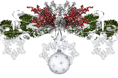  Une collection de chez Stampin Up sur divers  modèles de  cartes  de  voeux !!!