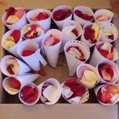 Tuto cornets pour lancer de pétales