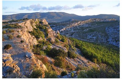 Paysage aride des Corbières