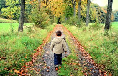 Là bas sur le chemin.....