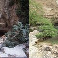 Fontaine de Vaucluse selon la saison