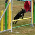 concours agility Ploemeur 12/07/09