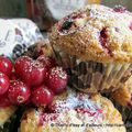 Muffins aux groseilles et zeste de citron