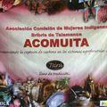 Le combat économique et culturel des femmes indigènes au Costa Rica
