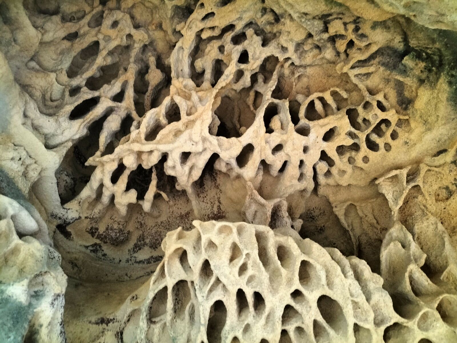 Vallée des couleurs, dans la forêt , une grotte, détail.... (Espagne)