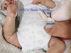 Estelle du Kit de Linde Scherer