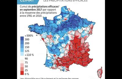 POURRAIS-JE BIENTOT CULTIVER DES BANANES EN ALSACE ?