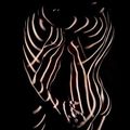 L'ombre du zèbre n'a pas de rayures. - Proverbe africain