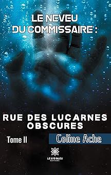 rue des lucarnes obscures - coline ache