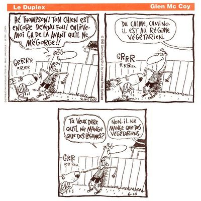 Le Duplex - par Glen McCoy - 18 sept. 1996 - dans STRIPS