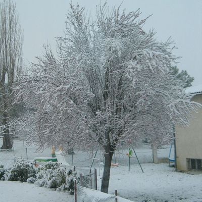 IL N'Y A PLUS DE SAISON