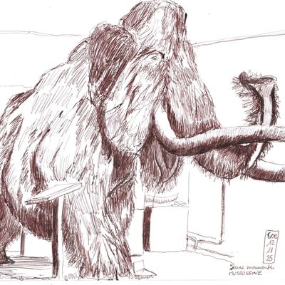 Muséoseine Caudebec