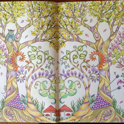 Coloriage 4 - Forêt Enchantée - forêt symétrique