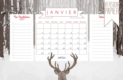 Calendriers mensuels : janvier- février 2017 (à imprimer - gratuit)