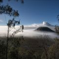 Mystic bromo